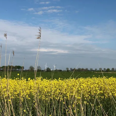 Tief 10 Mit Beheiztem Pool - Meerengel 1001 Apartment Schillig