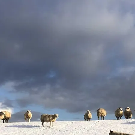 Apartment Tief 10 Mit Beheiztem Pool - Meerengel 1001