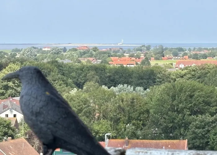 Tief 10 Mit Beheiztem Pool - Meerengel 1001 Apartamento Schillig