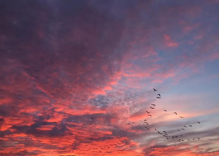 Tief 10 Mit Beheiztem Pool - Meerengel 1001 Apartamento