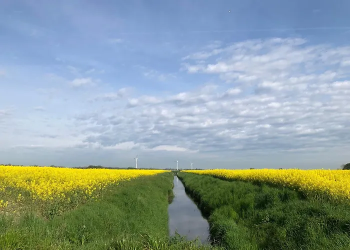 Tief 10 Mit Beheiztem Pool - Meerengel 1001 * Schillig