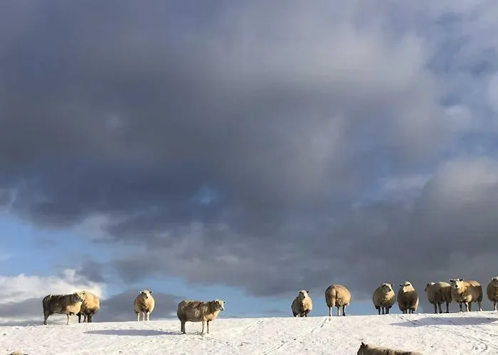 Apartamento Tief 10 Mit Beheiztem Pool - Meerengel 1001