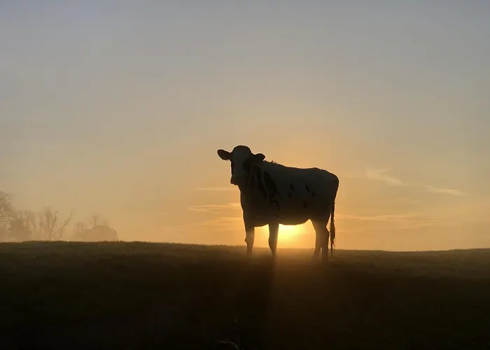 Tief 10 Mit Beheiztem Pool - Meerengel 1001 *